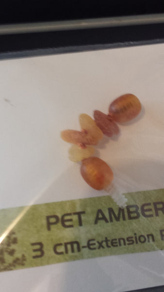Baltic Amber Beads Pet Necklace- Extender (3cm)