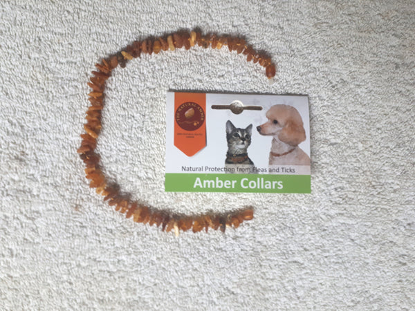 Baltic Amber Pet Necklaces 30cm / 12 inches