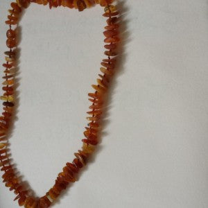 Baltic Amber Pet Necklaces 35cm / 14 inches