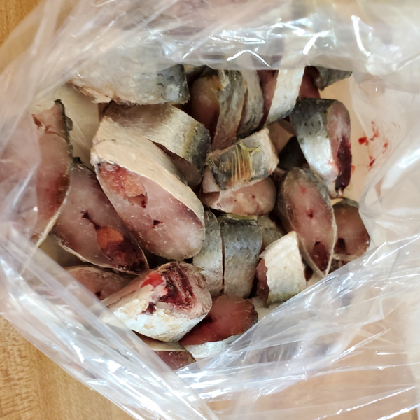Herring - 1/2 lb flash frozen raw herring chunks