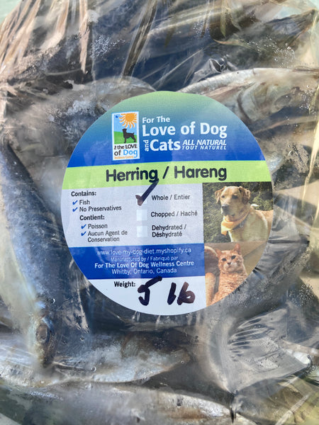 Herring - Whole, Raw, Flash Frozen 5lb